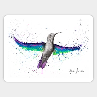 Garden Glow Hummingbird Sticker